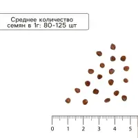 Семена Редис &laquo;Смесь Скороспелых сортов&raquo;, 2 г, &laquo;УРОЖАЙ УДАЧИ&raquo;