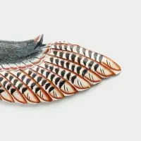 Панно &laquo;Парящая сова&raquo;, 100&times;1.5&times;20 см, дерево