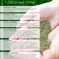 Семена газонной травы &laquo;Футбольный ковер&raquo;, 1,8 кг