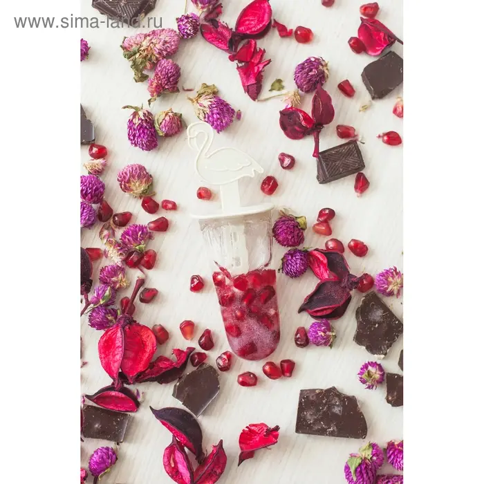 Форма для мороженого &laquo;Фламинго&raquo;, 12.5&times;11.5&times;14.5 см, 6 ячеек, пластик, прозрачная