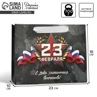 Пакет подарочный ламинированный, упаковка, &laquo;23 февраля&raquo;, MS 23&times;18&times;10 см