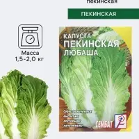 Семена Капуста пекинская &laquo;Любаша&raquo;, 0.5 г, &laquo;Сембат&raquo;
