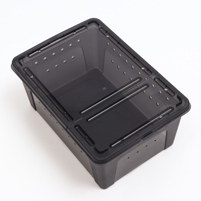 Переноска - отсадник для рептилий, 26 х 17,5 х 11,5 см, черная Переноска - отсадник для рептилий, 26 х 17,5 х 11,5 см, черная