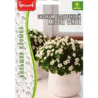 Семена цветов Экзакум Midget White родственный 10 шт.  12.29 г.