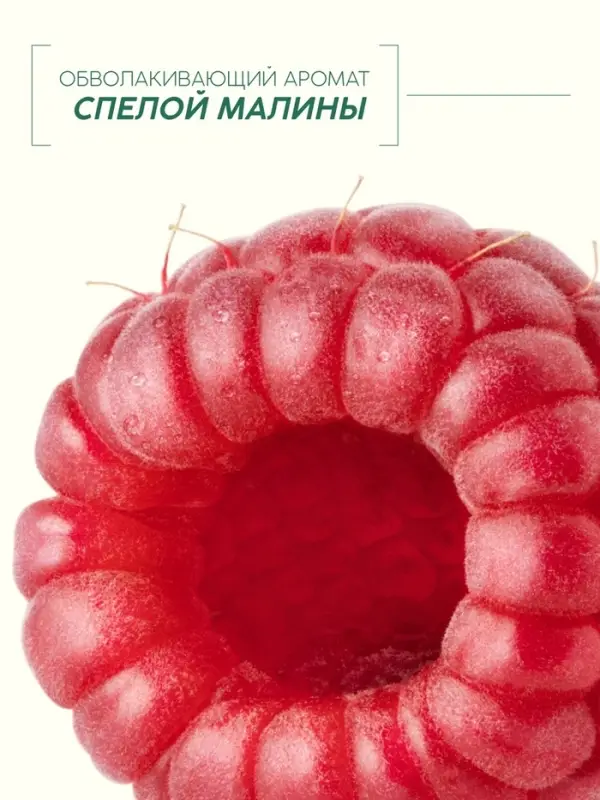Гель для душа, увлажнение и уход, аромат малины, 250 мл, Рябина