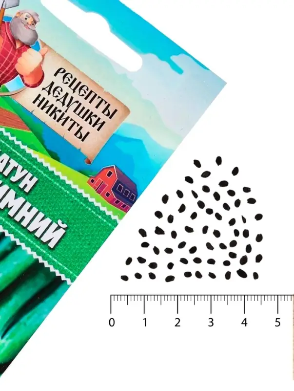 Семена Лук-батун &laquo;Русский зимний&raquo;, 0.5 г, многолетник, &laquo;Рецепты дедушки Никиты&raquo;