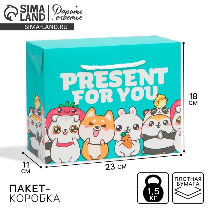 Пакет—коробка, подарочная упаковка, «Present», 23 х 18 х 11 см Пакет—коробка, подарочная упаковка, «Present», 23 х 18 х 11 см