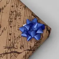 Бант - звезда №3.5, фасовка 8 шт., МИКС Бант - звезда №3.5, фасовка 8 шт., МИКС