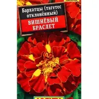 Семена цветов Бархатцы Вишневый браслет , Ц/П,0,3 г