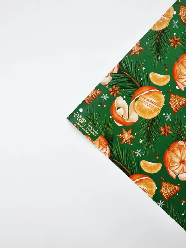 Набор упаковочной бумаги &laquo;Зимняя сказка&raquo;, 4 листа, 70 &times; 100 см