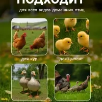 Поилка для домашней птицы, 1 л, пластик, Greengo