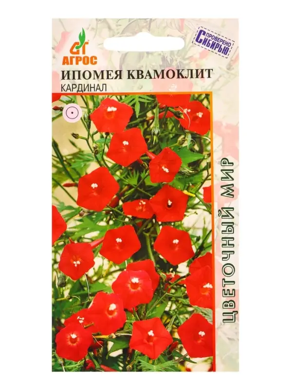Семена Ипомея квамоклит Кардинал 10 шт Семена Ипомея квамоклит Кардинал 10 шт