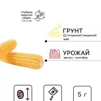 Семена Кукуруза сахарная &laquo;Лакомка Белогорья&raquo;, 5 г, &laquo;Семена Алтая&raquo;