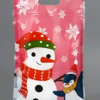 Пакет подарочный, с zip-lock застежкой, "Друзья дедушки Мороза", 15х22см МИКС Пакет подарочный, с zip-lock застежкой, "Друзья дедушки Мороза", 15х22см МИКС