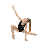 Купальник для гимнастики и танцев Grace Dance, р. 38, цвет чёрный