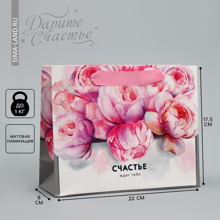 Пакет подарочный ламинированный горизонтальный, упаковка, «Счастье ждёт тебя» 22 х 17,5 х 8 см