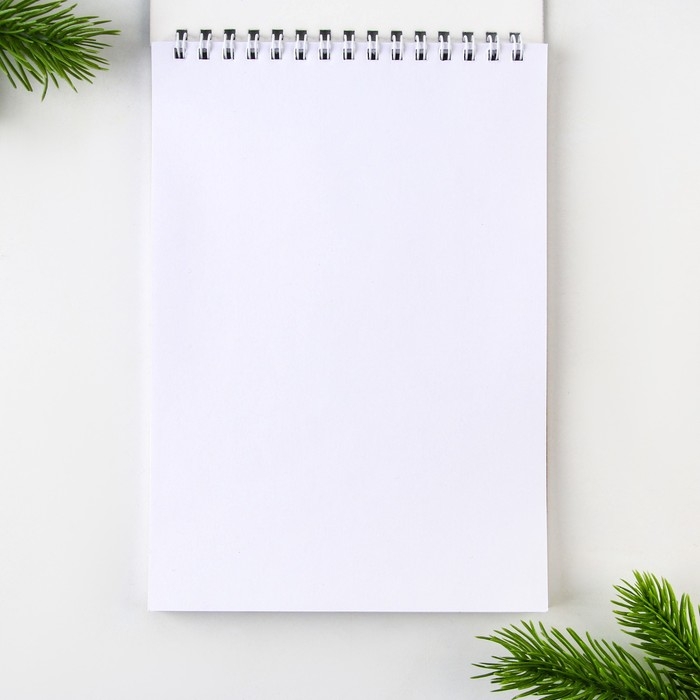 Новый год. Скетчбук А5 40 л в тонкой обл на гребне 100г/м2 «Дед мороз»