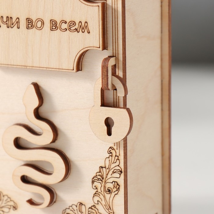 Копилка-книга  Копилка-книга "Змея. Удачи во всём" 13,5х9х4,5 см