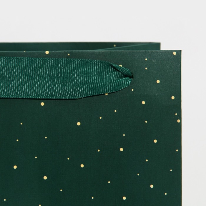 Пакет под бутылку «Тепла и уюта», 13 х 36 х 10 см, Новый год Пакет под бутылку «Тепла и уюта», 13 х 36 х 10 см, Новый год