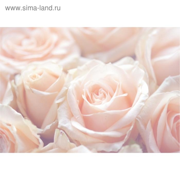 Фотообои B-014 Bellissimo Фотообои B-014 Bellissimo "Нежные розы", 4 листа 1400х2000 мм