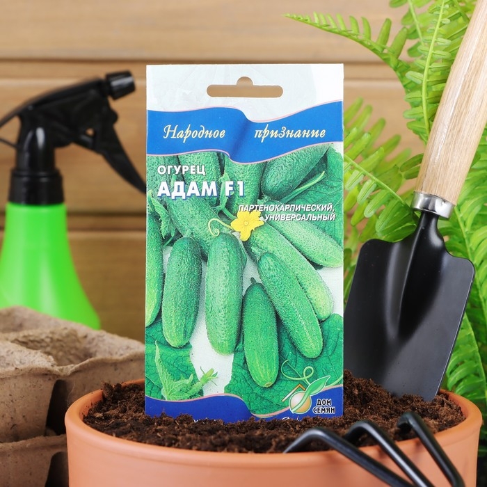 Семена огурца  Семена огурца "Адам", F1, 6 шт.