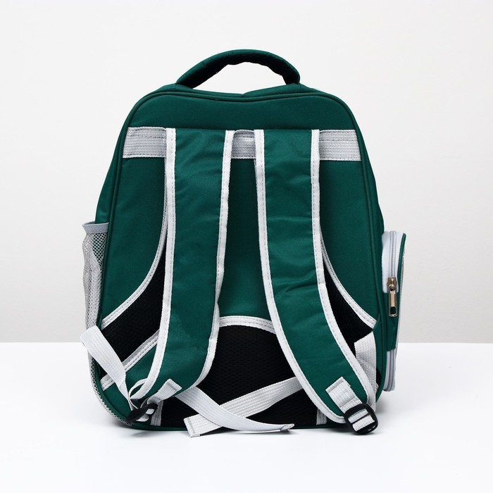 Рюкзак для переноски кошек  Рюкзак для переноски кошек "Котик", прозрачный, 34 х 25 х 40 см, зелёный