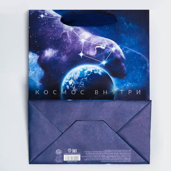 Пакет подарочный вертикальный, упаковка, «Космос внутри», MS 18 х 23 х 10 см Пакет подарочный вертикальный, упаковка, «Космос внутри», MS 18 х 23 х 10 см
