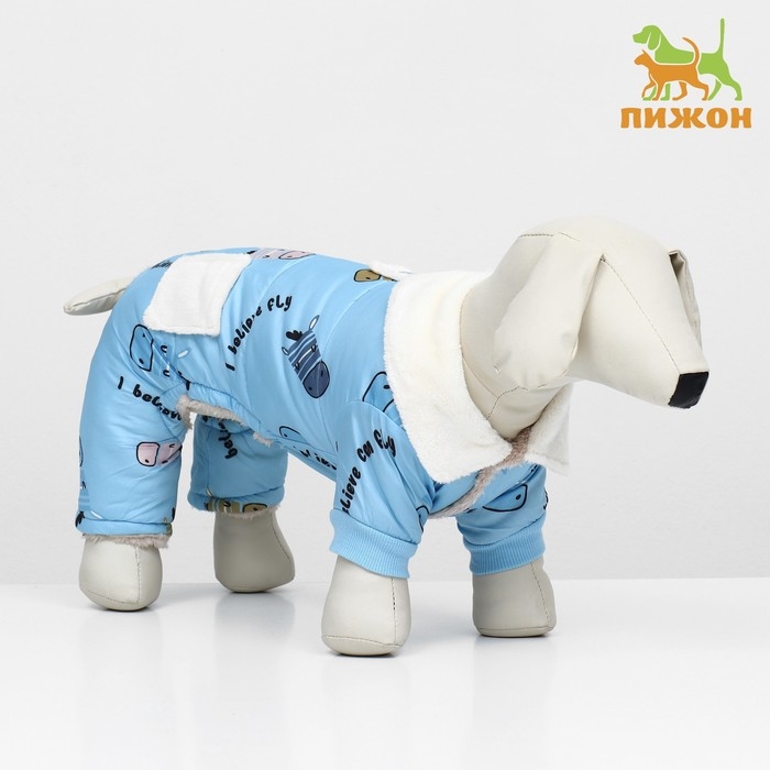 Комбинезон Комбинезон "Метель", размер XL (ДС 40 см, ОГ 50, ОШ 33 см), голубой