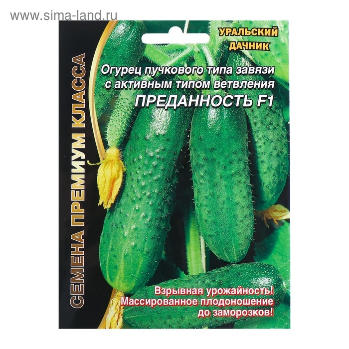 Семена Огурец Семена Огурец "Преданность" F1 пучкового типа завязи, партенокарпический, 7 шт