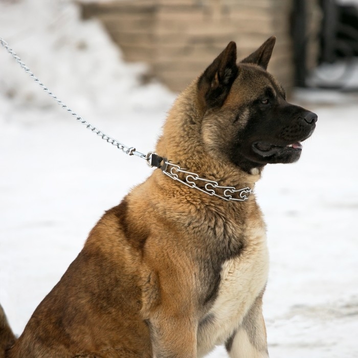 Поводок металлический, 120 см х 4 мм Поводок металлический, 120 см х 4 мм