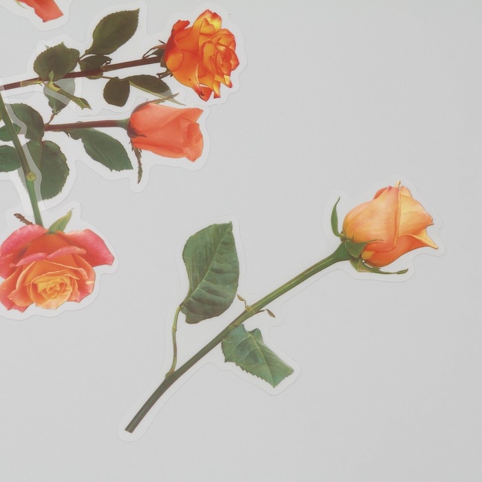 Наклейки пластик Наклейки пластик "Цветы и цитаты. Желто-оранжевые" набор 12 шт 8,5х21,5х0,2 см