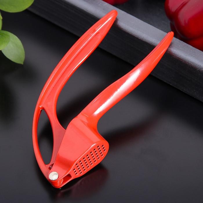 Пресс для чеснока Доляна «Краски», 16 см, цвет МИКС Пресс для чеснока Доляна «Краски», 16 см, цвет МИКС