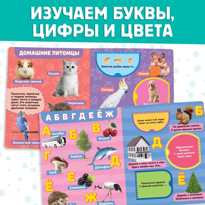 Набор картонных книжек с 3 окошками, 6 шт. по 10 стр. Набор картонных книжек с 3 окошками, 6 шт. по 10 стр.