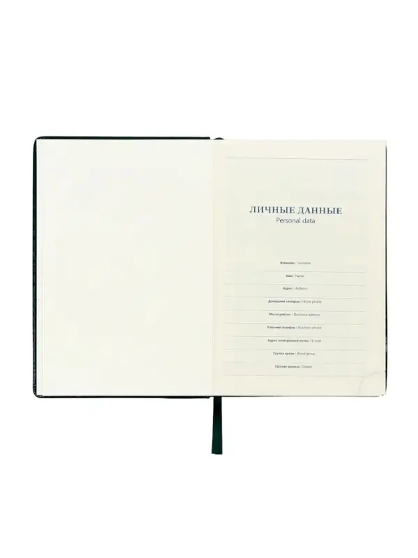 Ежедневник датированный Calligrata, А5, 2026, твёрдая обложка из искусственной кожи &laquo;Небраска&raquo;, 168 листов, зелёный