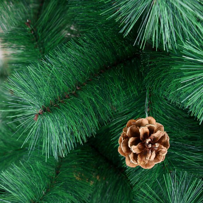 Кедр зеленый шишки 240 см, d игл 10 см, d нижнего яруса 140 см, 510 веток, металл подставка Кедр зеленый шишки 240 см, d игл 10 см, d нижнего яруса 140 см, 510 веток, металл подставка