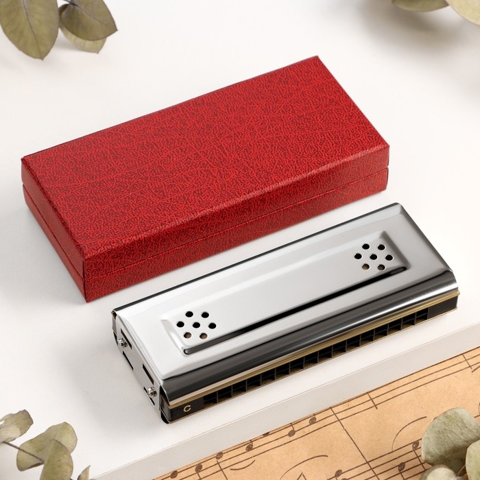 Губная гармошка Music Life T16-2 тремоло, с футляром Губная гармошка Music Life T16-2 тремоло, с футляром