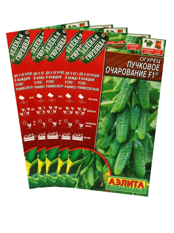 Семена Огурец Семена Огурец "Пучковое очарование", F1,набор 5 шт