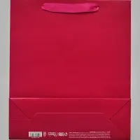 Пакет подарочный &laquo;Подарок&raquo;, голография, М 26&times;30&times;9 см