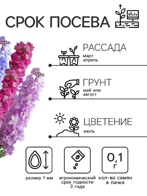 Семена цветов Дельфиниум «Королевская смесь», 0.1 г, «Агросидстрейд» Семена цветов Дельфиниум «Королевская смесь», 0.1 г, «Агросидстрейд»