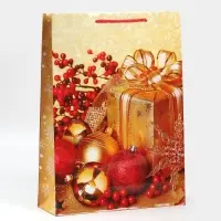 Пакет подарочный новогодний ламинированный «Поздравляю», L 28 х 38 х 9 см