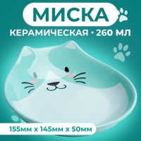 Миска керамическая "Голова кота 3" 260 мл  15,5 x 14,5 x 5 cм, мятная
