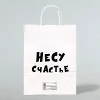 Пакет подарочный «Несу счастье », 24×14×28 см