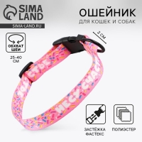 Ошейник «Несу счастье», застёжка - фастекс, 2 см 25-40 см