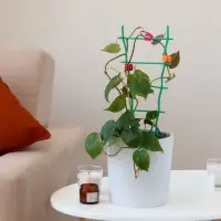 Клипса для растений, набор 10 шт., МИКС, Greengo
