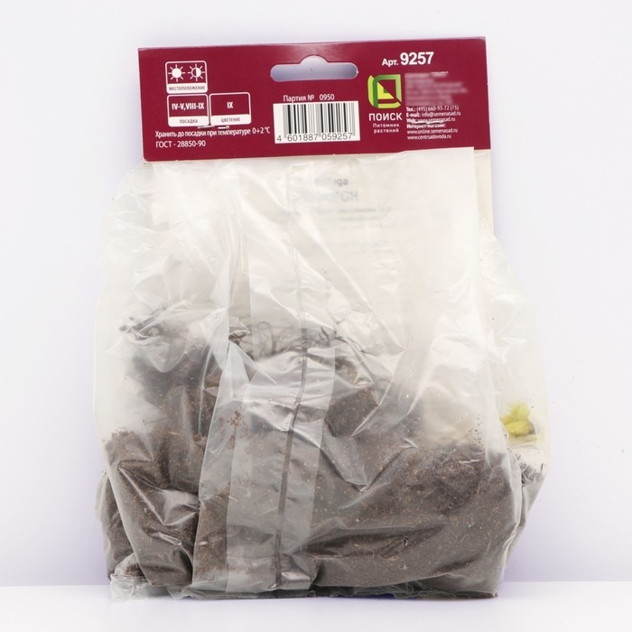 Клопогон простой Вайт Пёрл, р-р I, 1 шт, Весна 2025