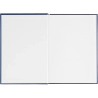 Ежедневник датированный 2026 Выбор есть, А5, 160л, бумвинил, синий