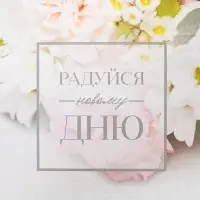 Коробка для печенья, кондитерская упаковка с пластиковой крышкой, «Радуйся новому дню», 18 х 18 х 3 см