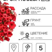 Семена Цветов Петуния &laquo;Изи вейв&raquo; F1, берри велюр, пробирка, 5 шт.