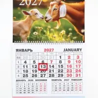Календарь 2027, квартальный моно &laquo;Два козла&raquo; 30&times;46 см