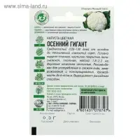 Семена Капуста цветная "Осенний гигант", ц/п, 0,1 г серия ХИТ х3 Семена Капуста цветная "Осенний гигант", ц/п, 0,1 г серия ХИТ х3